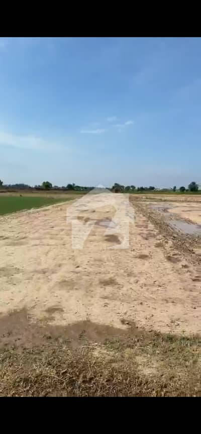 1 Kanal Farm House Plot For Sale