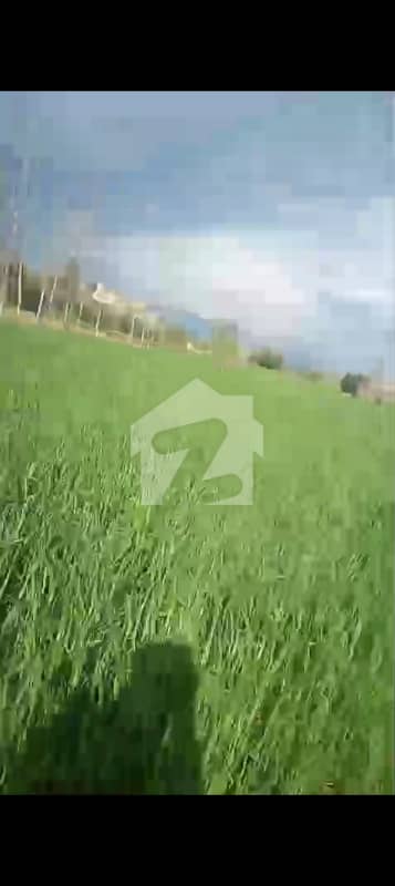 10 Kanal Agriculture Land Available For Sale At Khan Pur Hari Pur