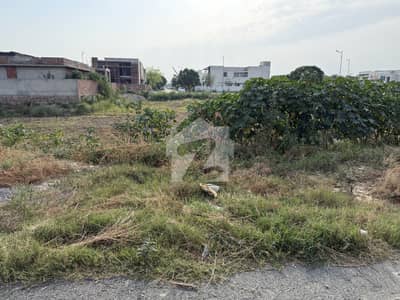 ڈی ایچ اے فیز 7 - بلاک پی فیز 7,ڈیفنس (ڈی ایچ اے),لاہور میں 1 کنال رہائشی پلاٹ 3.45 کروڑ میں برائے فروخت۔