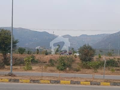 D12/2 600 Sq Yd Corner Plot Investor Price