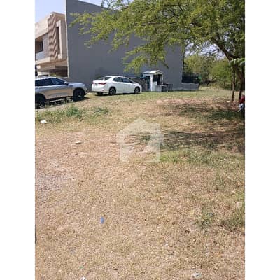 D12/1 35*70 Level Plot For Sale