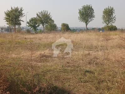 Gulberg Residencia Islamabad Black T Plot AVAILABLE FOR SALE Heights Best Location