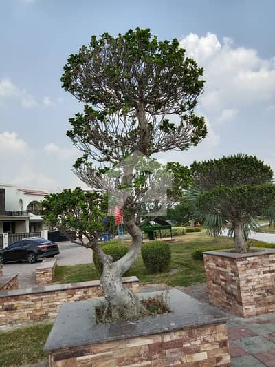 Prime 10 Marla Plot | Sector C3, Bahria Enclave | Premium Location