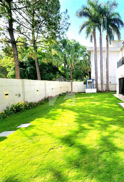 Prime Location Beautiful Newly Renovated House