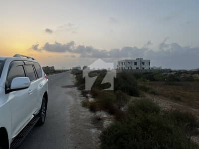 1000 Yards Residential Plot for sale In dha phase 8