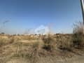 17 17