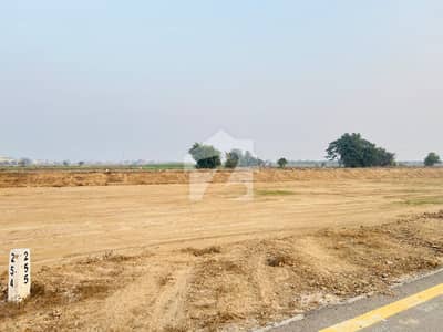 4 Kanal Chinar Court Farm House Plot Available For Sale Near Adda Plot Chinar Court