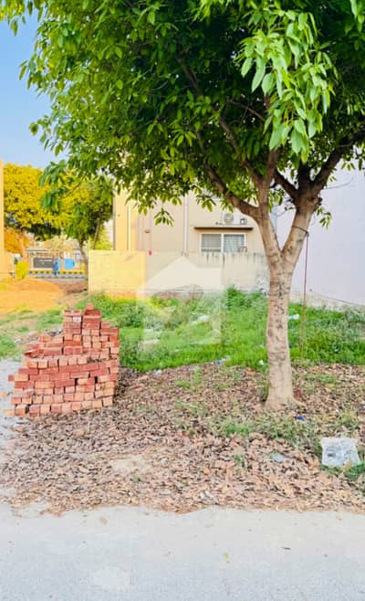 Plot No-856 Block A - 5 Marla Plot On Top Location of Phase 9 Town DHA Lahore For Urgent Sale
