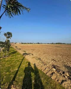 Lahore Organic Farms Society Located on Main Barki Road, Lahore.