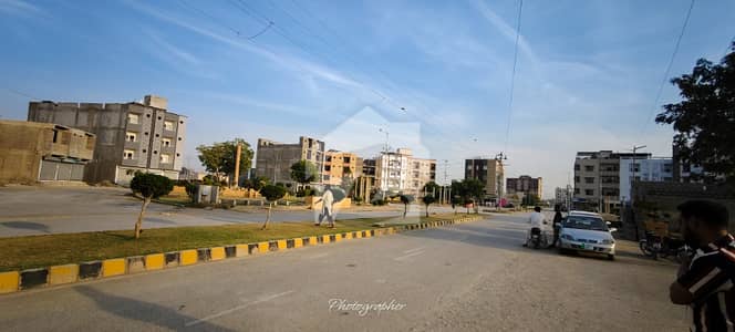 Falaknaz Dreams