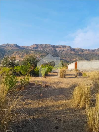 Farm house for sale at SHA ALLAH DITTA