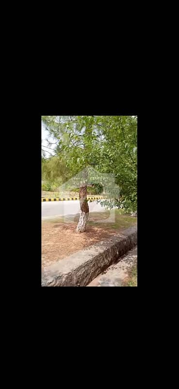 نیول اینکریج - بلاک ایل نیول اینکریج,اسلام آباد میں 1 کنال رہائشی پلاٹ 6.45 کروڑ میں برائے فروخت۔ نیول اینکریج - بلاک ایل نیول اینکریج,اسلام آباد میں 1 کنال رہائشی پلاٹ 6.45 کروڑ میں برائے فروخت۔
