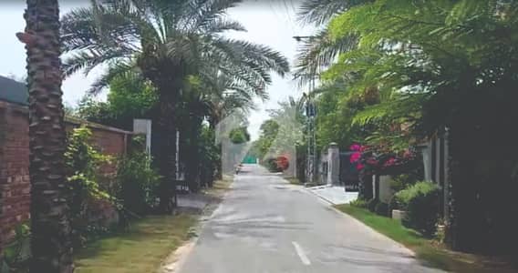 2 Kanal Farm House Plot for Sale Orchard Farm Houses Bedian Road