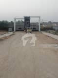 5 5
