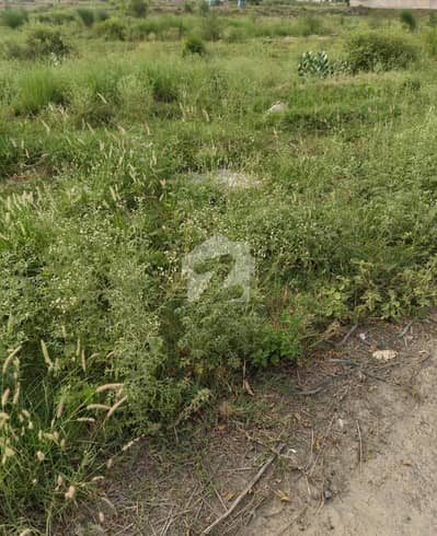 1 Kanal Plot On Ground Possession