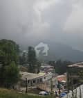 1 1