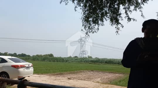 Highly Fertile 3.38 Acre Agricultural Land for Sale in Shaikh Wahan, Rahim Yar Khan.