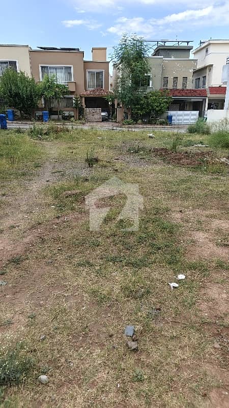 Nice Plot Land Nice Plot Land