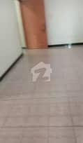6 6