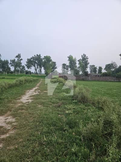 Agricultural Land For Sale On Bedian Road, Lahore