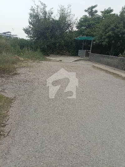 D12/3 1 kanal Full House 5 Bedroom