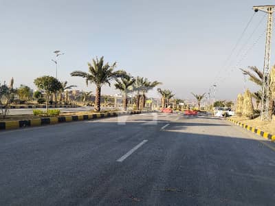 Commercial Plot Magnolia Ready Plot A Block