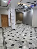 31 31