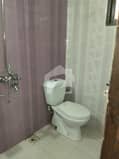 10 10