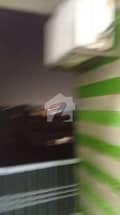 6 6