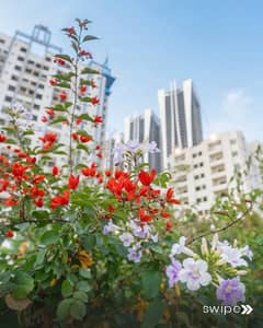 Defence Residency 2bedroom Apartments For Rent