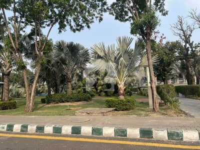 6 Kanal Plot In F Block Sukh Chayn