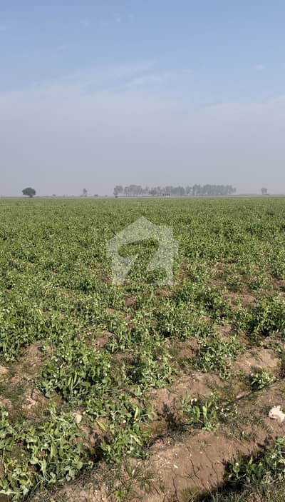 Best Agricultural Land