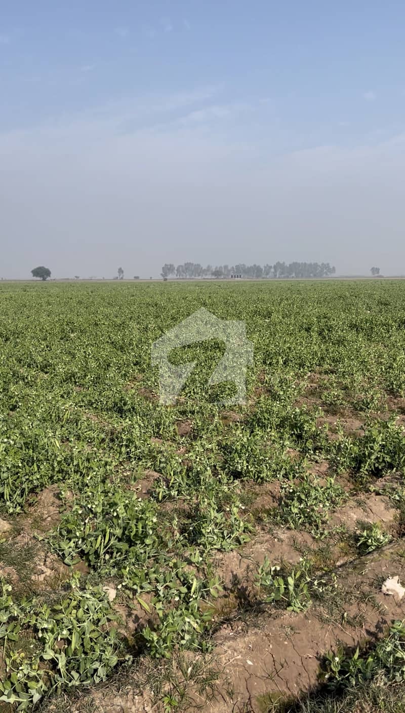 Best Agricultural Land Best Agricultural Land