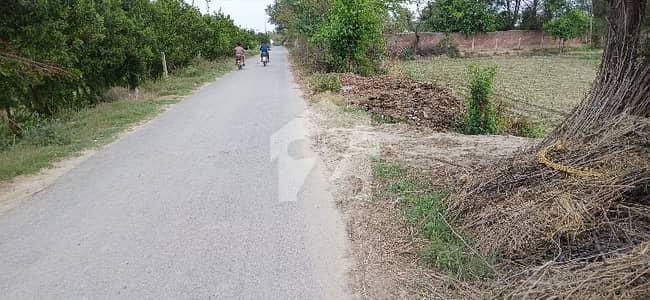 برکی روڈ کینٹ,لاہور میں 24 کنال زرعی زمین 4.5 کروڑ میں برائے فروخت۔ برکی روڈ کینٹ,لاہور میں 24 کنال زرعی زمین 4.5 کروڑ میں برائے فروخت۔
