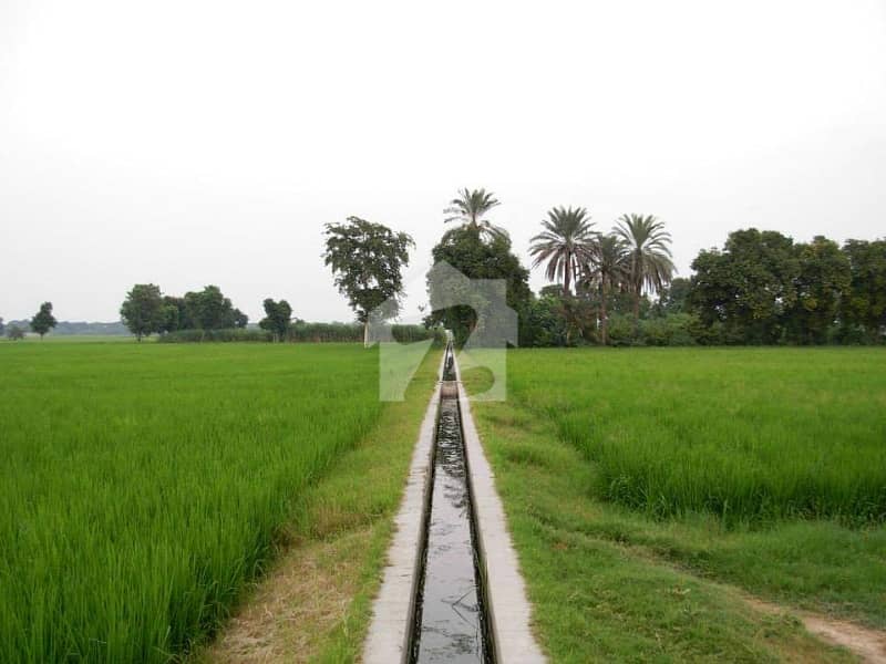 Agricultural Farm for sale Agricultural Farm for sale