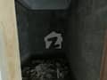7 7