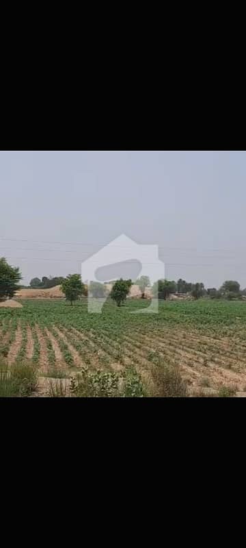 44 Kanal Land Available For Sale @ Investor Rate