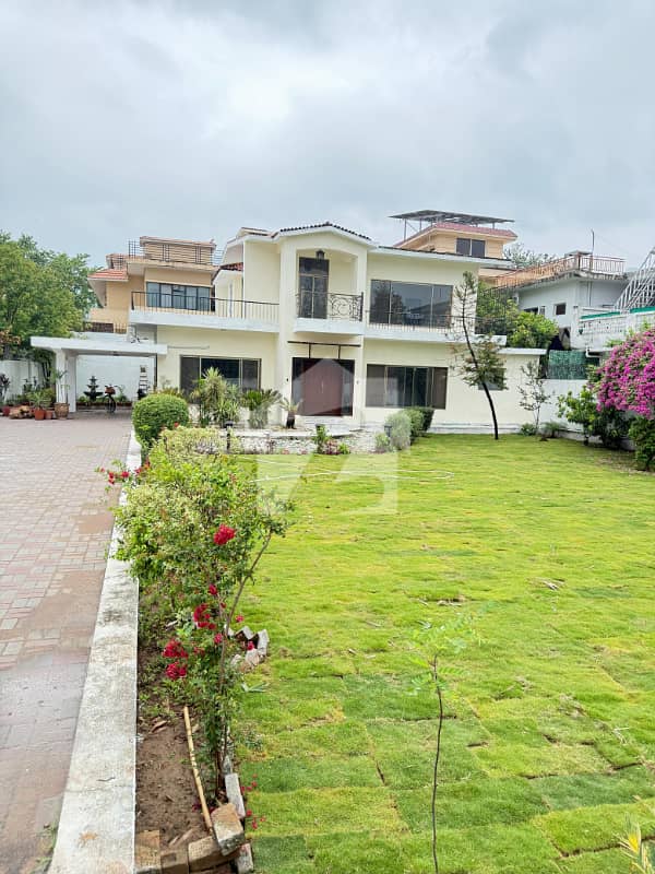 House with big Garden House with big Garden