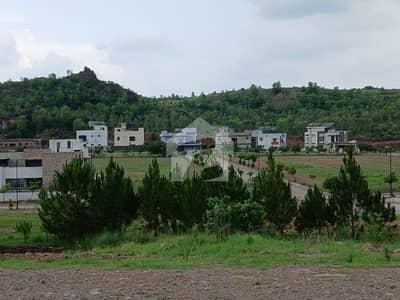 1 Kanal Heighted Possession Plot for Sale Prime Location! 1 Kanal Heighted Possession Plot for Sale Prime Location!
