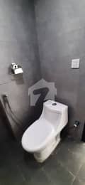 10 10