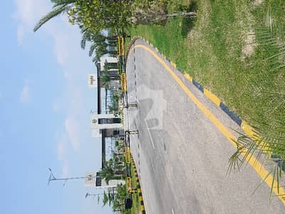 DHA 7 OLEANDER 8 marla Plot For Sale (Eligible For Bank Loan)