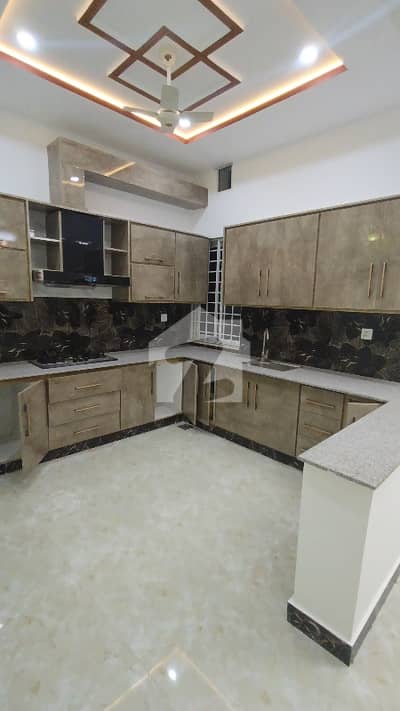 7 Marla Brand New Single Story House For Sale 7 Marla Brand New Single Story House For Sale