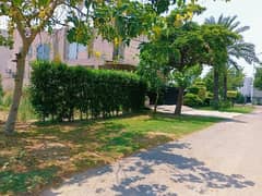 20 Marla Plot Surrounding Houses Available back Of Main Road Hot Location Reasonable Price For Sale pls Contact For Any Requirement Fair Deal InshAllah
