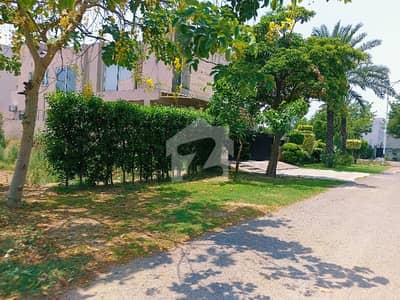 20 Marla Plot Surrounding Houses Available back Of Main Road Hot Location Reasonable Price For Sale pls Contact For Any Requirement Fair Deal InshAllah