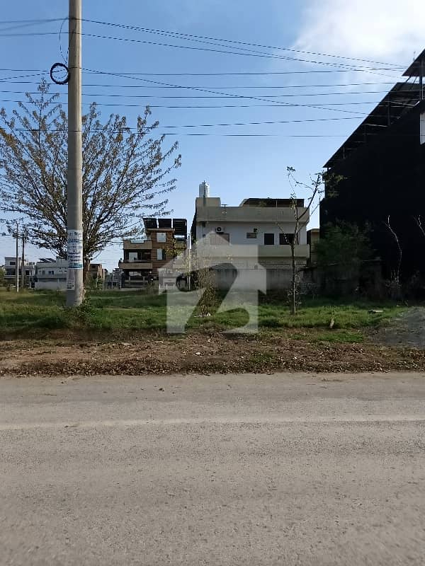 6 6