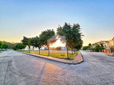 Corner 1.5 Kanal Investor Price Plot Near Masjid and Commercial