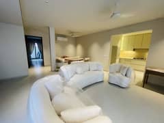 Brand New Fully Furnished House Brand New Fully Furnished House