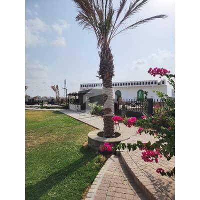Radio Pakistan Cooperative Housing Society Scheme 33 Plot For Sale 240 Square Yards Radio Pakistan Cooperative Housing Society Scheme 33 Plot For Sale 240 Square Yards