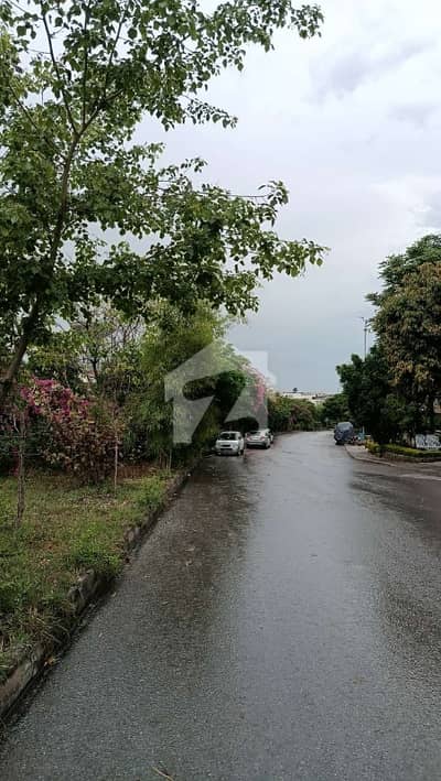 1 Kanal South Facing Plot | 70 Ft Wide Road | Prime Location Near Central Park