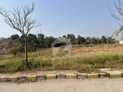 Investor Rate Plot In Prime Location Of Dha 3
